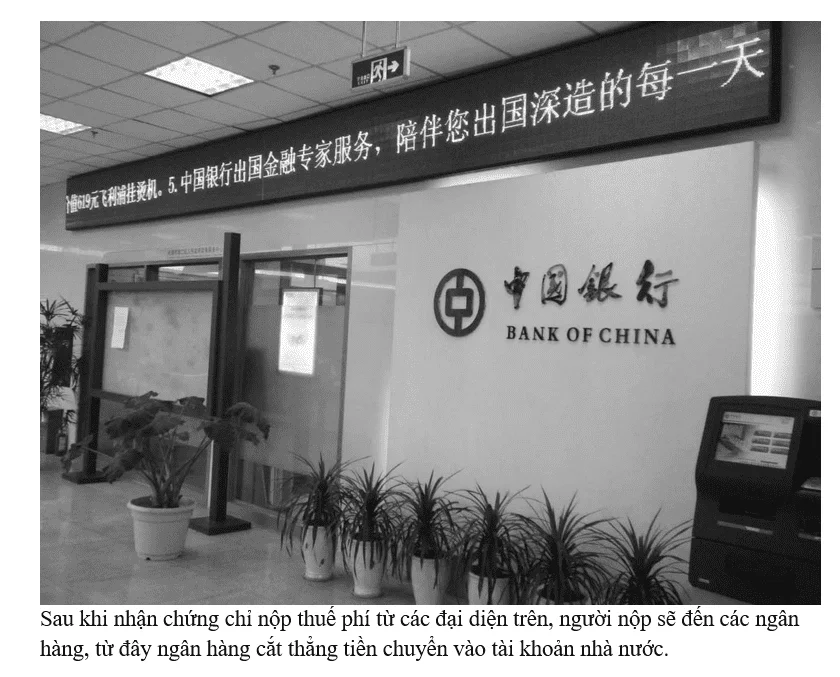 Trung Quốc thoát khỏi bẫy nghèo như thế nào - Yuen Yuen Ang - Ảnh 4