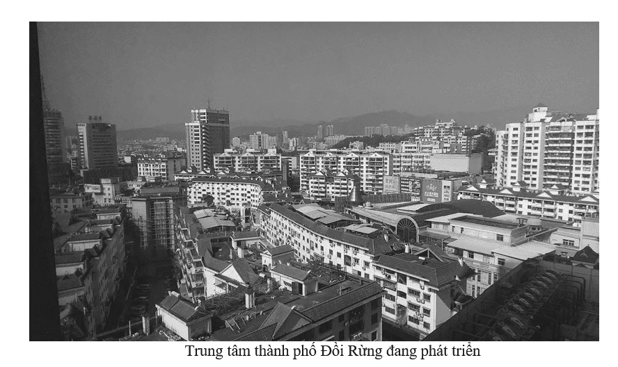 Trung Quốc thoát khỏi bẫy nghèo như thế nào - Yuen Yuen Ang - Ảnh 5