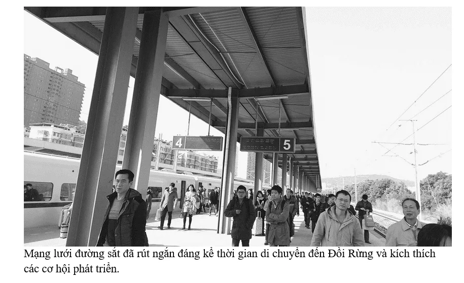 Trung Quốc thoát khỏi bẫy nghèo như thế nào - Yuen Yuen Ang - Ảnh 6
